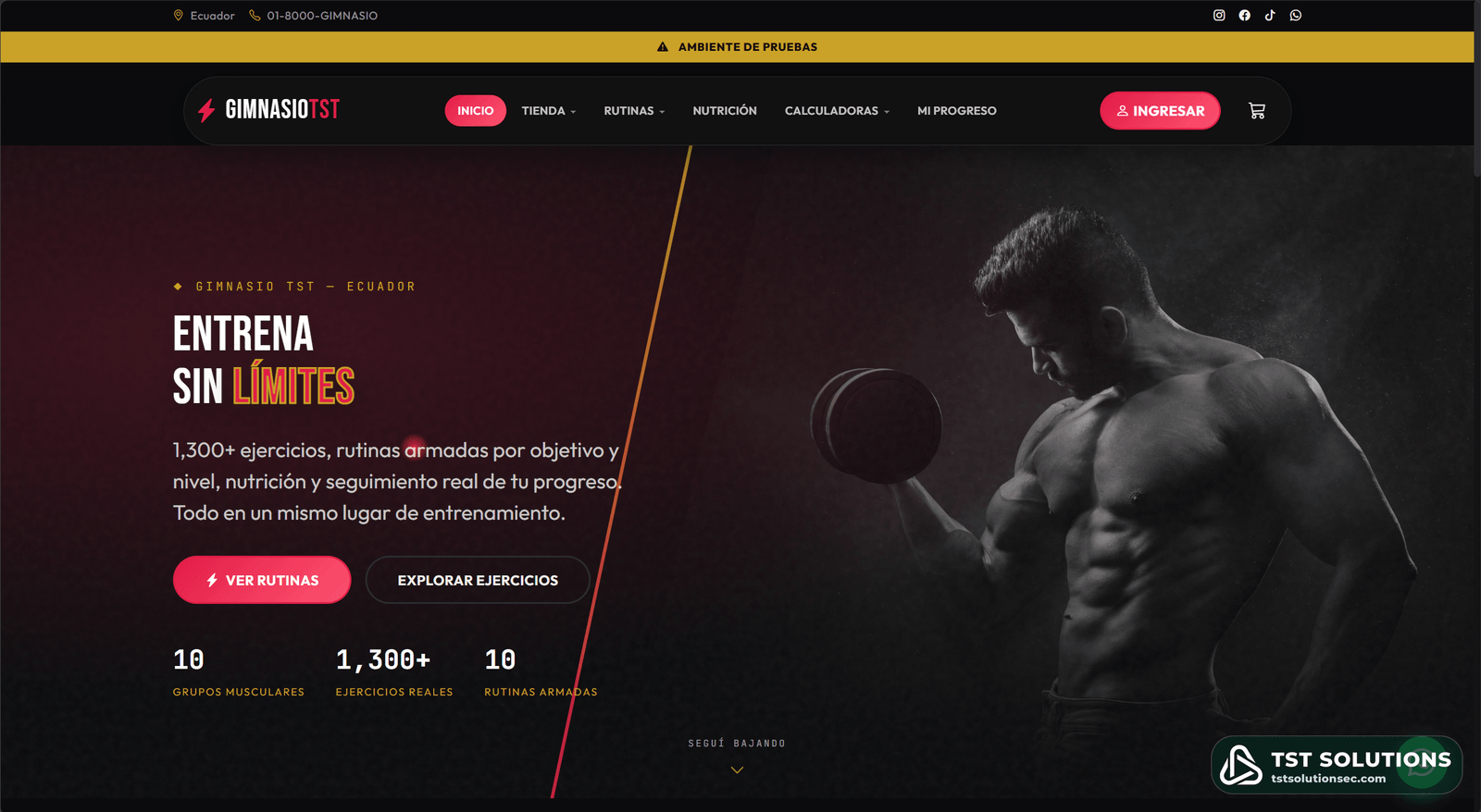GYMNASIO — Portada